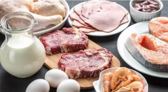 肾病专家答疑：高蛋白饮食为何会加速肾损害？
